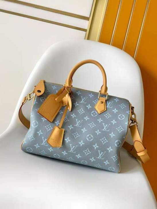 Picture of Louis Vuitton Handbags _SKUfw240127746fw